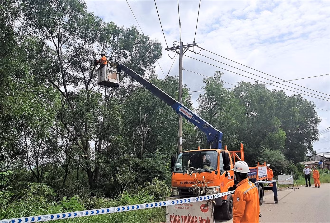 Công ty Điện lực Củ Chi tổ chức kiểm tra mé nhánh, tỉa cành các cây xanh để đảm bảo hành lang an toàn lưới điện