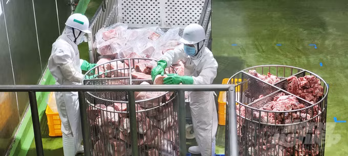Hạt nêm Aji-ngon Heo với chiết xuất xương thịt hầm sản xuất trực tiếp tại nhà máy.