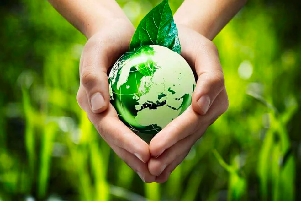 Sống xanh trở thành một xu thế tất yếu trong tương lai Sống xanh trở thành một xu thế tất yếu trong tương lai