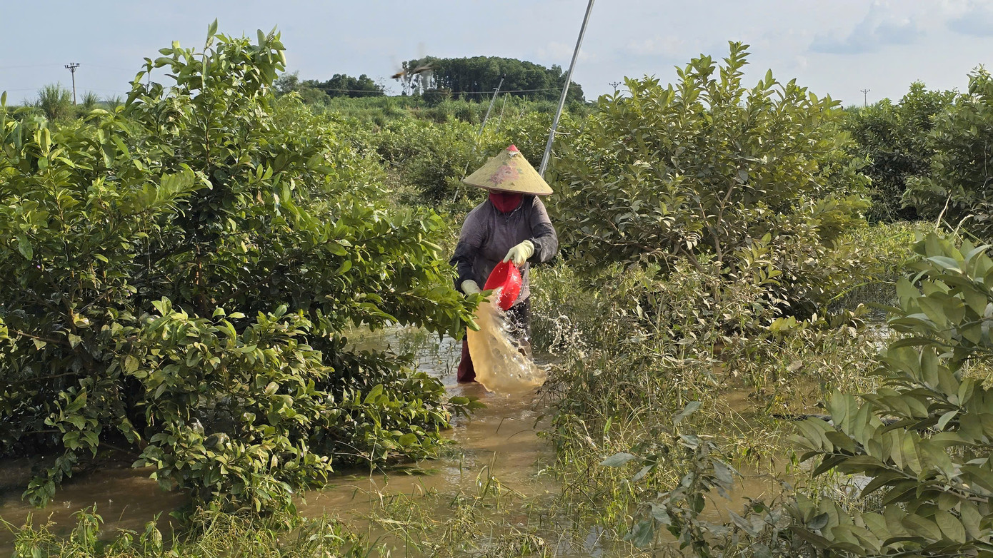 Ảnh: Mạnh Thắng