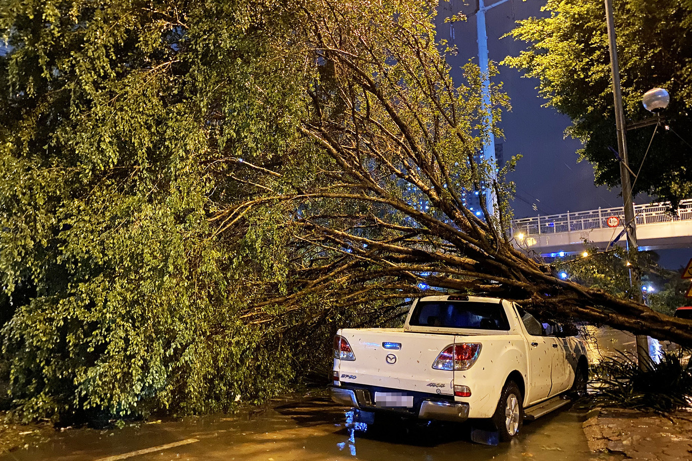 Cây xanh bật gốc đè ô tô ở TP Hà Nội do bão Yagi. Ảnh: Đình Hiếu.