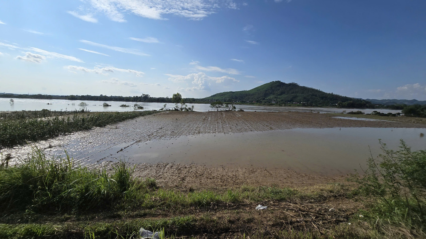 Ảnh: Mạnh Thắng