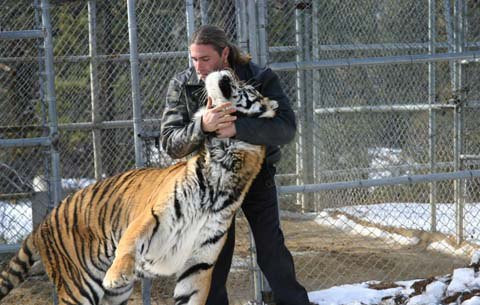 Randy là người huấn luyện nhiều con vật từng tham gia các bộ phim bom tấn như Transformers 2, The Last Samurai