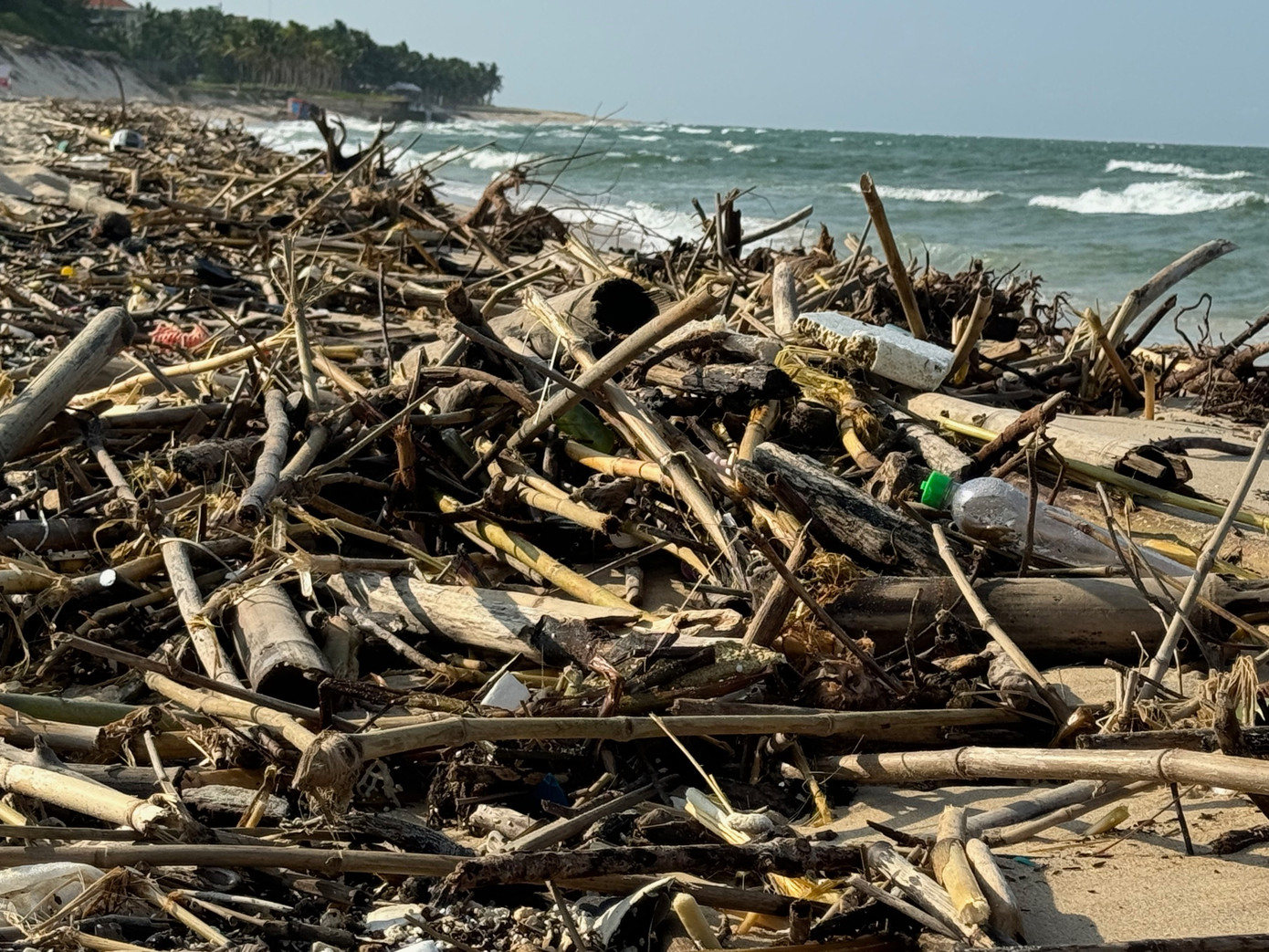 Rác dạt vào dày đặc dọc bờ biển Bảo Ninh. Rác dạt vào dày đặc dọc bờ biển Bảo Ninh.