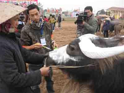 Họa sĩ Lê Nguyên Mạnh tại Lễ hội Tịch điền năm Canh Dần 2010 Ảnh: Phạm Tuấn Tú