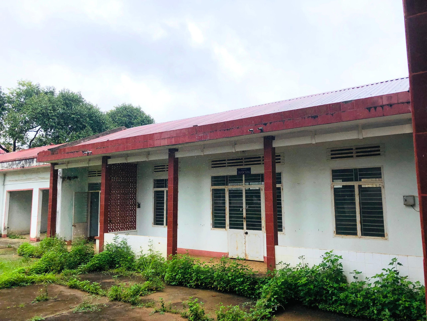 Bên ngoài Trường Cao đẳng Nghề cỏ dại mọc um tùm.