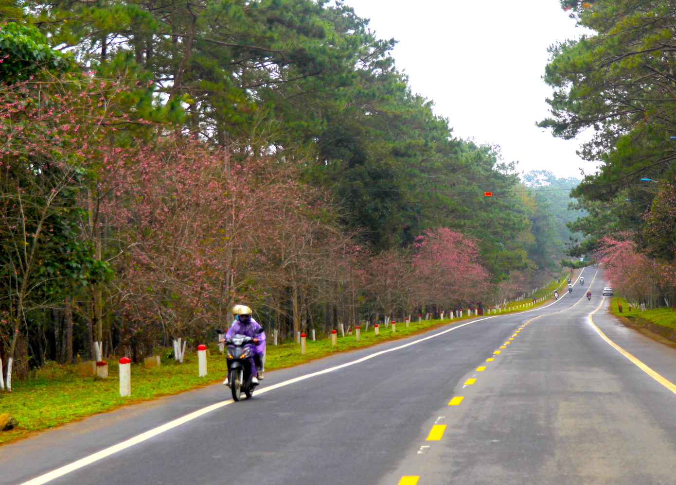 Để đáp ứng nhu cầu của du khách, huyện Kon Plông hiện đã yêu cầu các cơ sở lưu trú đảm bảo mọi điều kiện thuận lợi nhất để du khách có thể trải nghiệm; các khu du lịch, homestay, farm cũng được chủ đầu tư chỉnh trang, hoàn thiện.