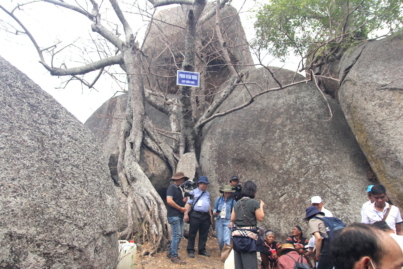 Hai phụ tá Vua Lửa làm lễ dưới gốc "Cây thần linh"