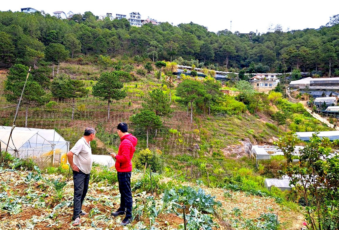 Đa phần những ngôi nhà ở xóm Bảo Đại đều được làm tạm bợ do hầu hết chưa được cấp đất thổ cư