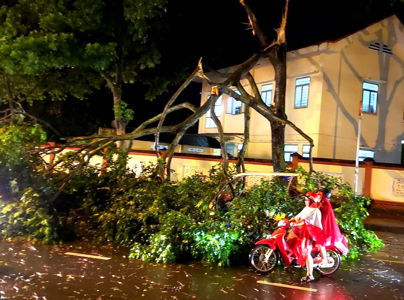 Nhiều cây xanh ở TP. Buôn Ma Thuột bị gãy, đổ.