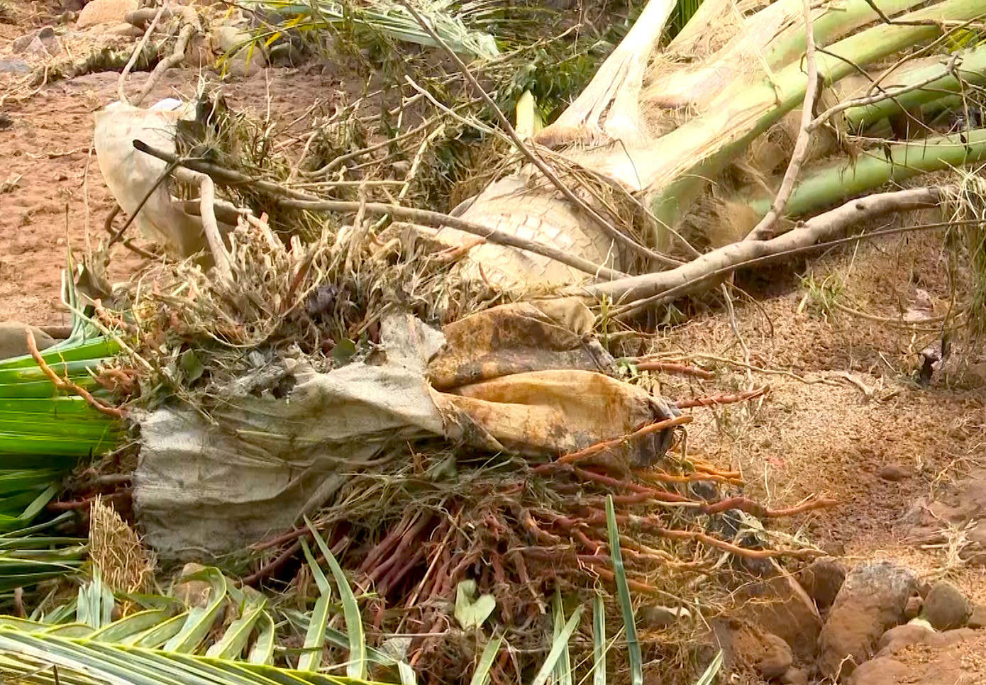 Dòng nước lớn quét sạch mọi thứ trong vùng hạ du