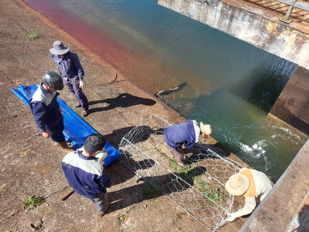 Nhiều rọ đá được thả xuống để lấp lỗ thủng