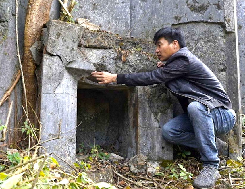 Lò sưởi của biệt thự đã bị cây mọc lên Lò sưởi của biệt thự đã bị cây mọc lên