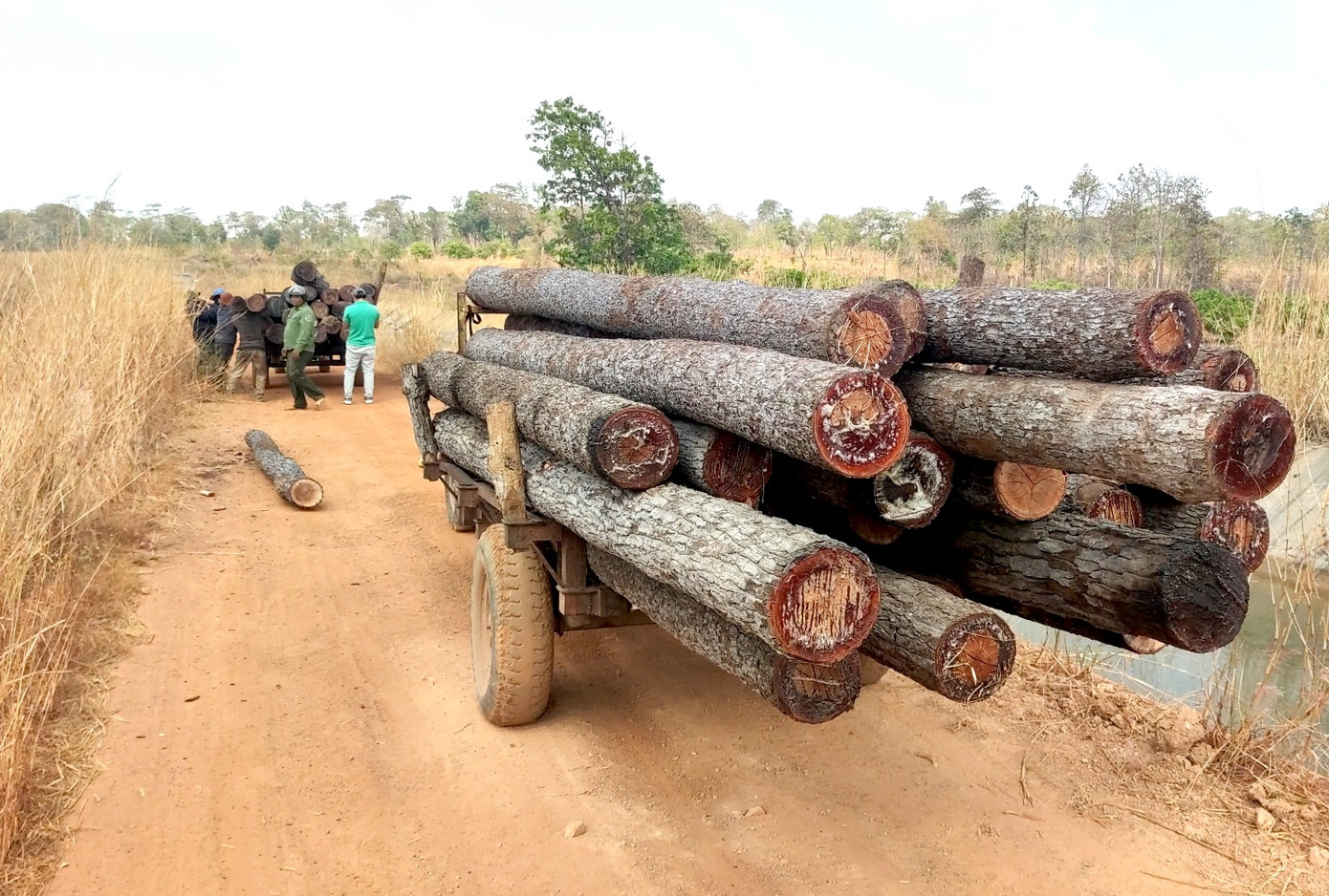 Một số xe công nông trong vụ việc.