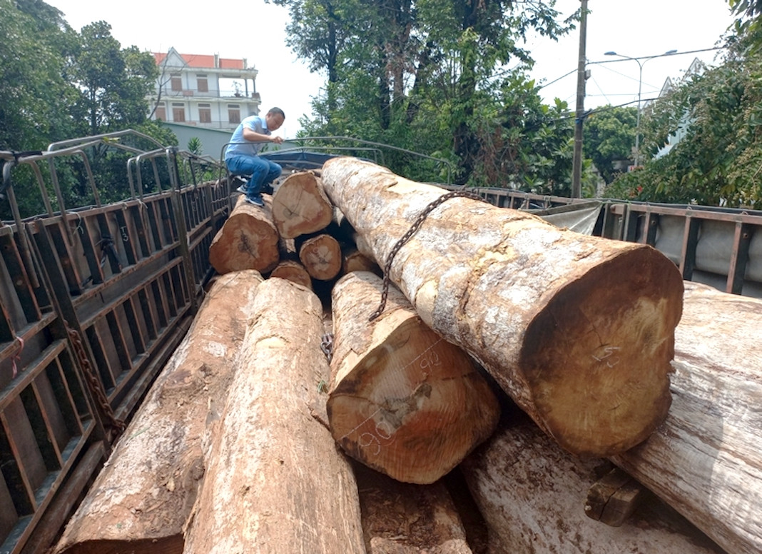 Số gỗ kơ nia trên ô tải Số gỗ kơ nia trên ô tải