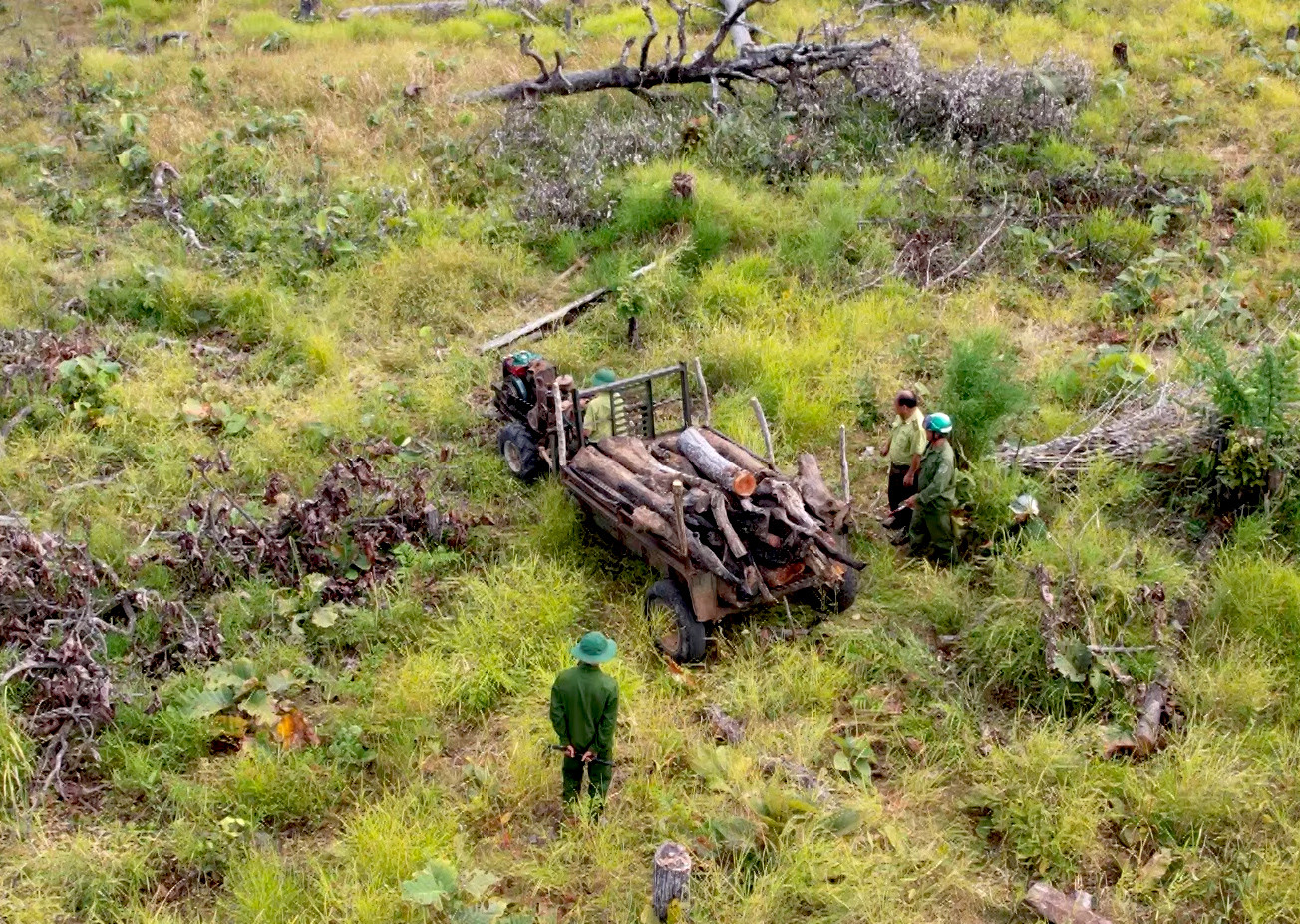 Một xe công nông người dân vào vận chuyển "củi" ra khỏi hiện trường