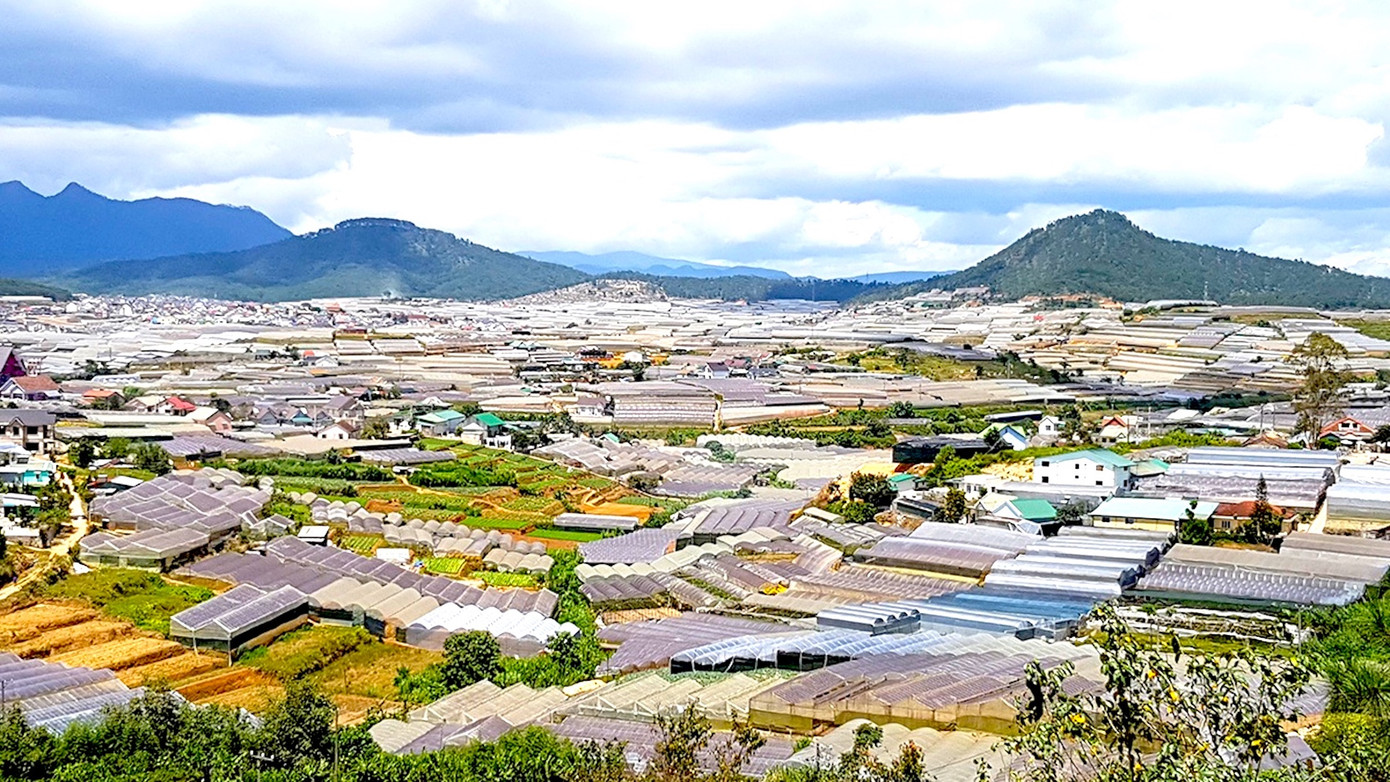 Theo thống kê của Sở NN&PTNT Lâm Đồng, diện tích đất sản xuất nông nghiệp của Đà Lạt chỉ hơn 10.000ha nhưng có tới 2.554ha nhà kính, chiếm 57% diện tích nhà kính trên địa bàn.