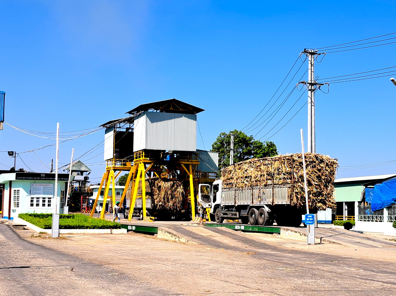Một ô tô tải chở mía tại Nhà máy Đường Ayun Pa Một ô tô tải chở mía tại Nhà máy Đường Ayun Pa