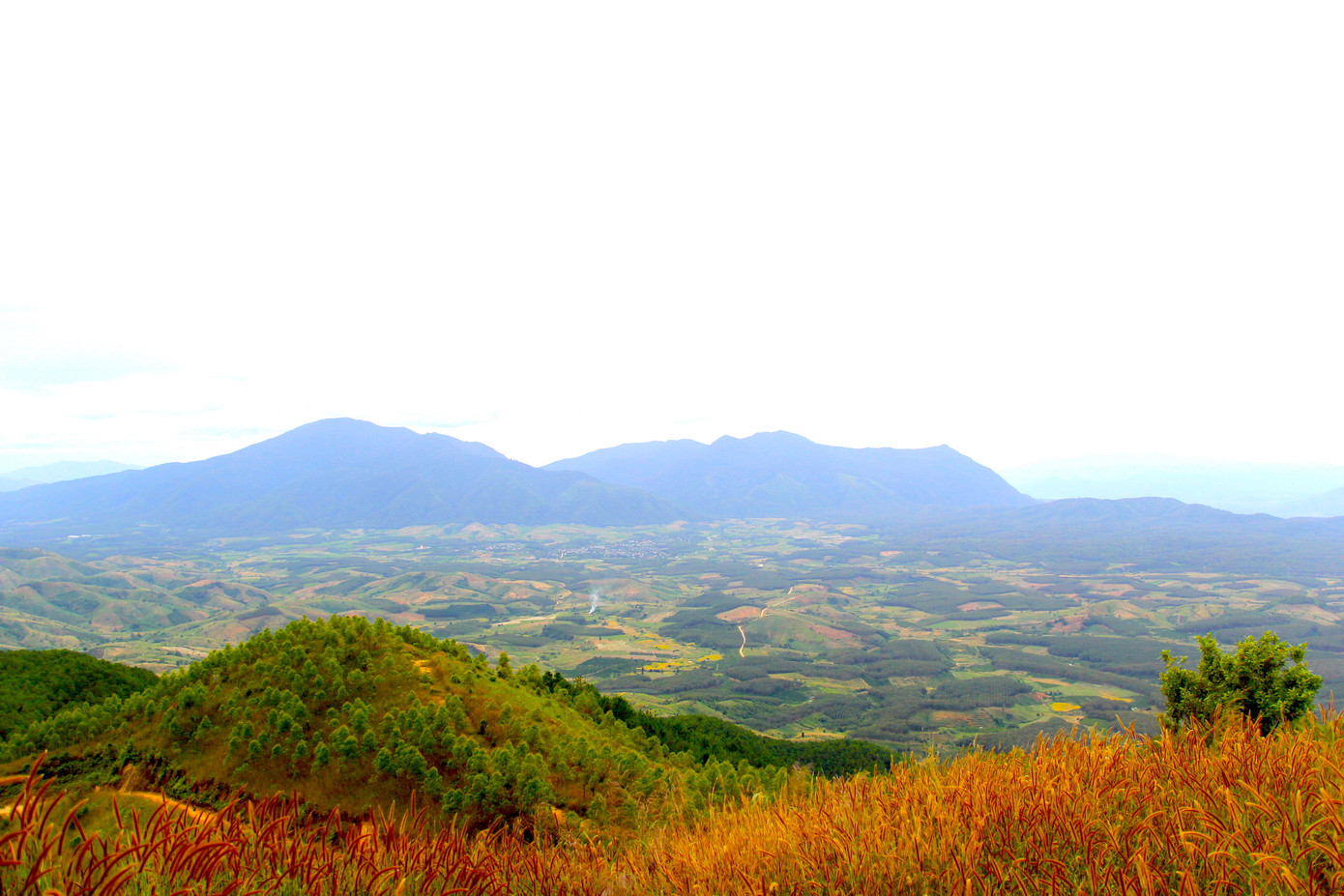 Đồi Sạc Ly còn được gọi là "đồi xương" bởi sự ác liệt của chiến tranh.