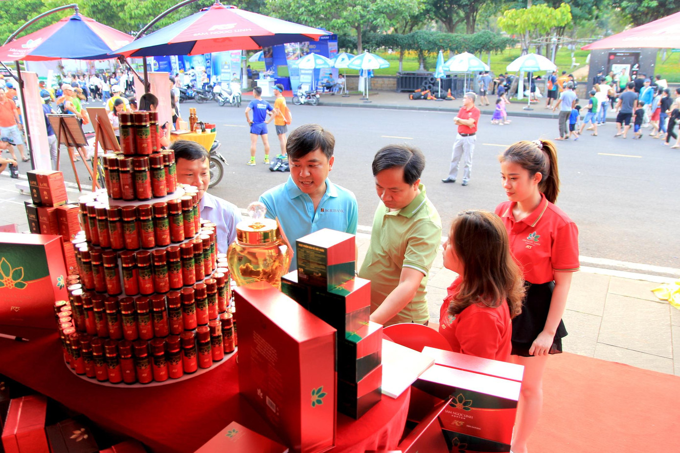 Các nhân viên giới thiệu về sản phẩm sâm Ngọc Linh K5