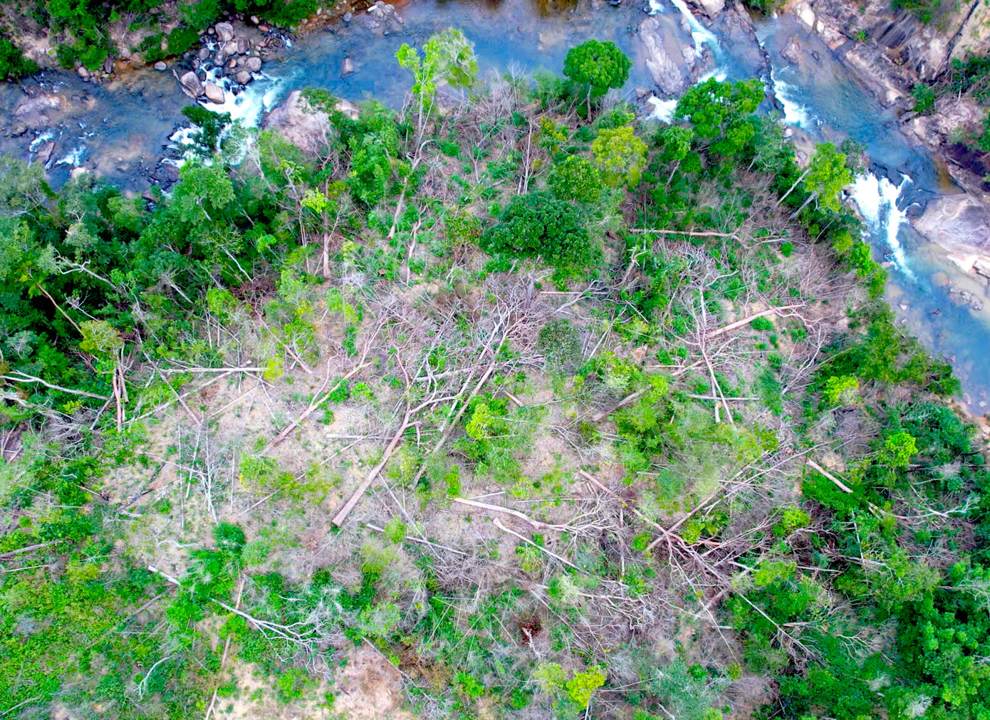 Rừng bị phá ở khu vực suối Ia Díp (địa giới hành chính thuộc xã Ia Grăng, huyện Ia Grai), diện tích gần 1ha.