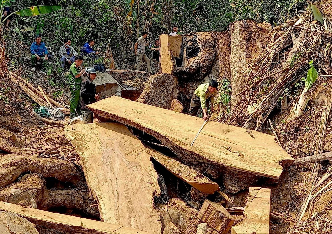Hiện trường vụ khai thác lâm sản trái phép. Ảnh: Công an tỉnh Kon Tum Hiện trường vụ khai thác lâm sản trái phép. Ảnh: Công an tỉnh Kon Tum