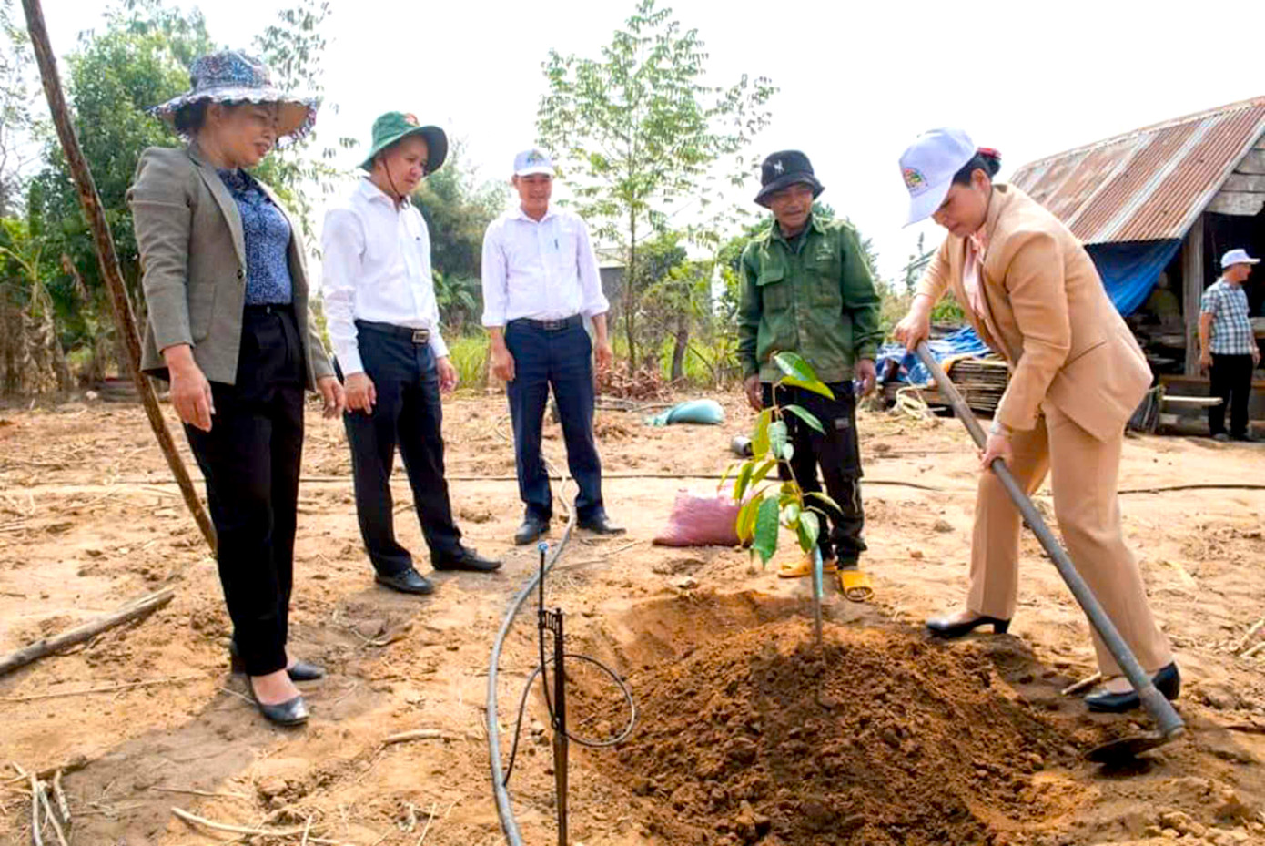Việc phát triển kinh tế bằng cây ăn trái được lãnh đạo Tỉnh uỷ, UBND tỉnh Kon Tum rất quan tâm Việc phát triển kinh tế bằng cây ăn trái được lãnh đạo Tỉnh uỷ, UBND tỉnh Kon Tum rất quan tâm