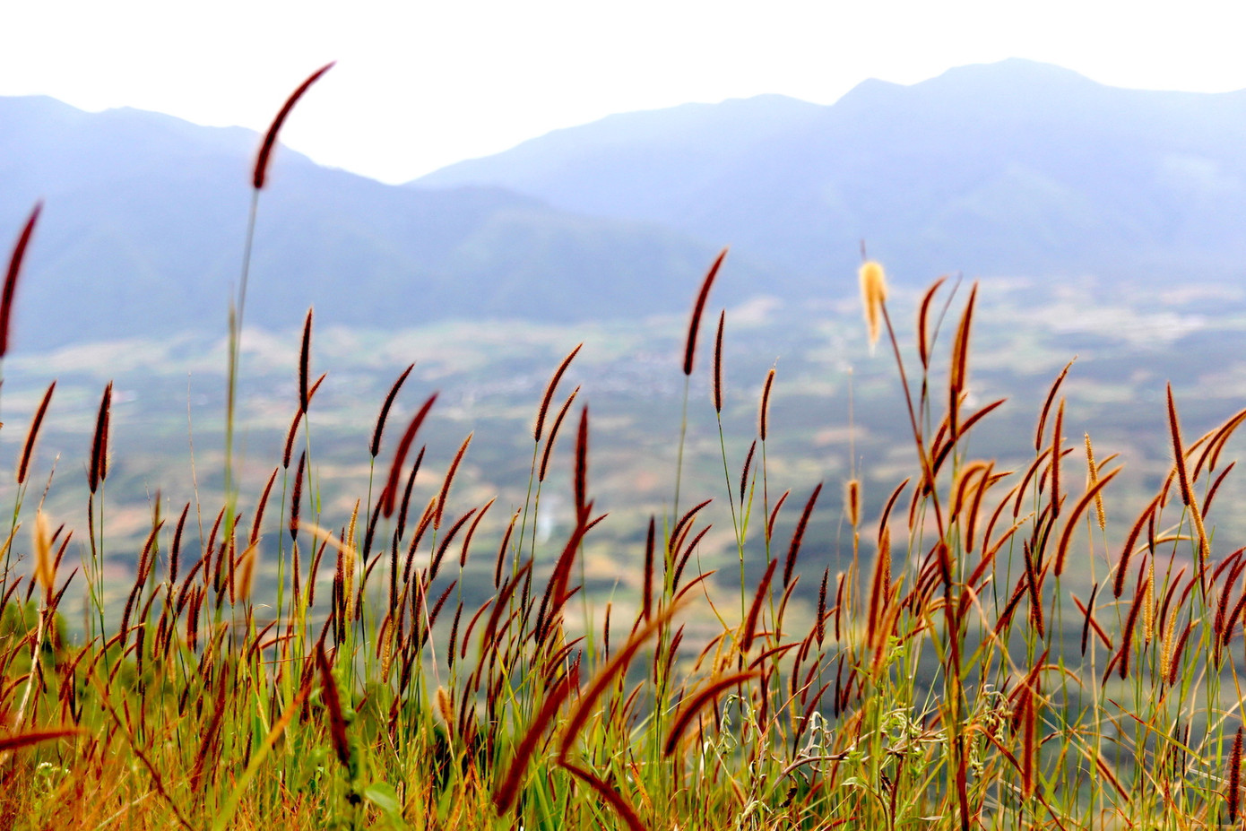 Đồi Sạc Ly còn được gọi là "đồi xương" bởi sự ác liệt của chiến tranh.