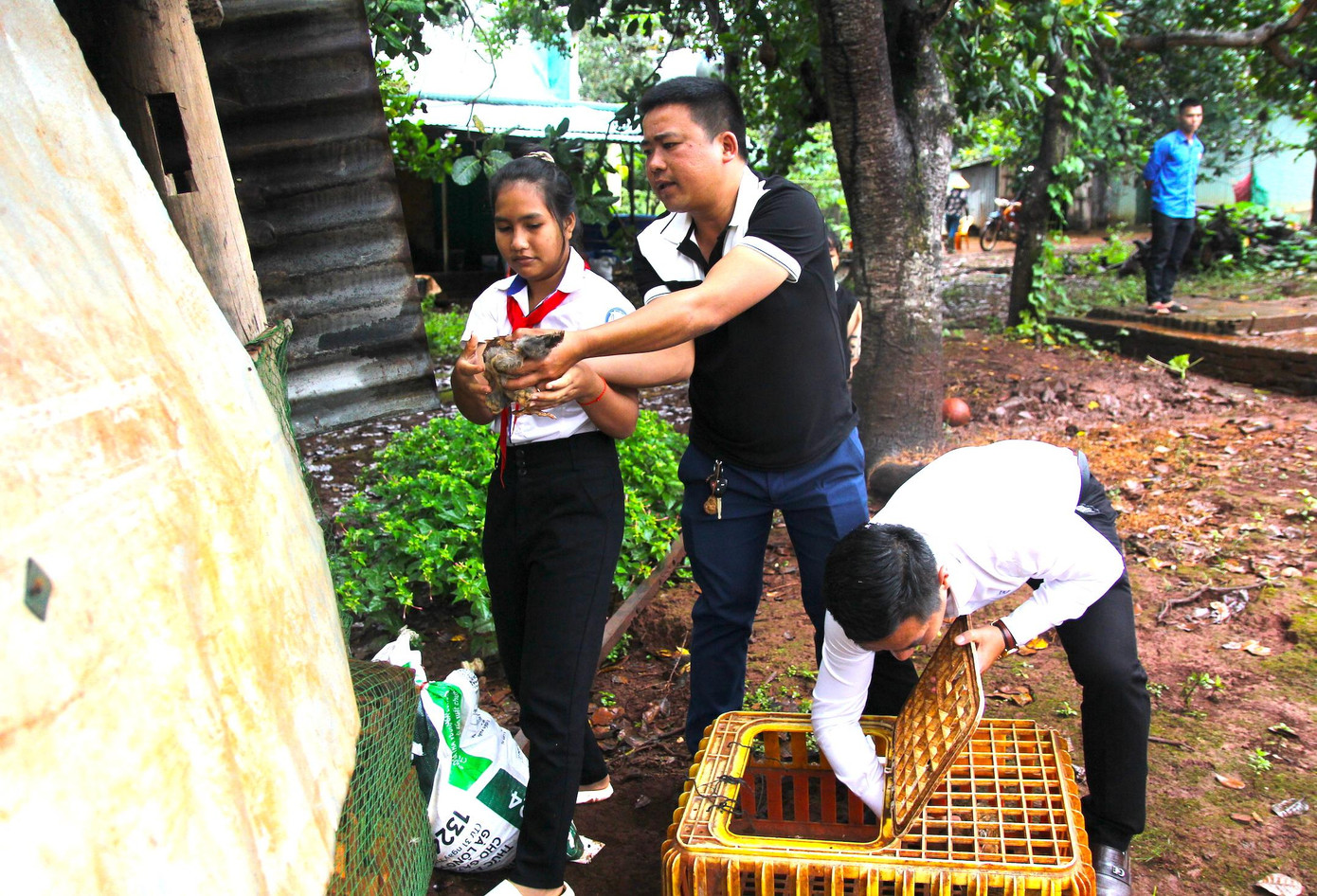 Các nhà hảo tâm đến trao đàn gà tặng em Rơ Lan Hxia (lớp 9, Trường THCS Lý Tự Trọng, xã Ia Kla) Các nhà hảo tâm đến trao đàn gà tặng em Rơ Lan Hxia (lớp 9, Trường THCS Lý Tự Trọng, xã Ia Kla)