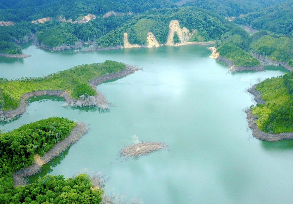 Thủy điện Thượng Kon Tum là một trong các đơn vị bị xử phạt