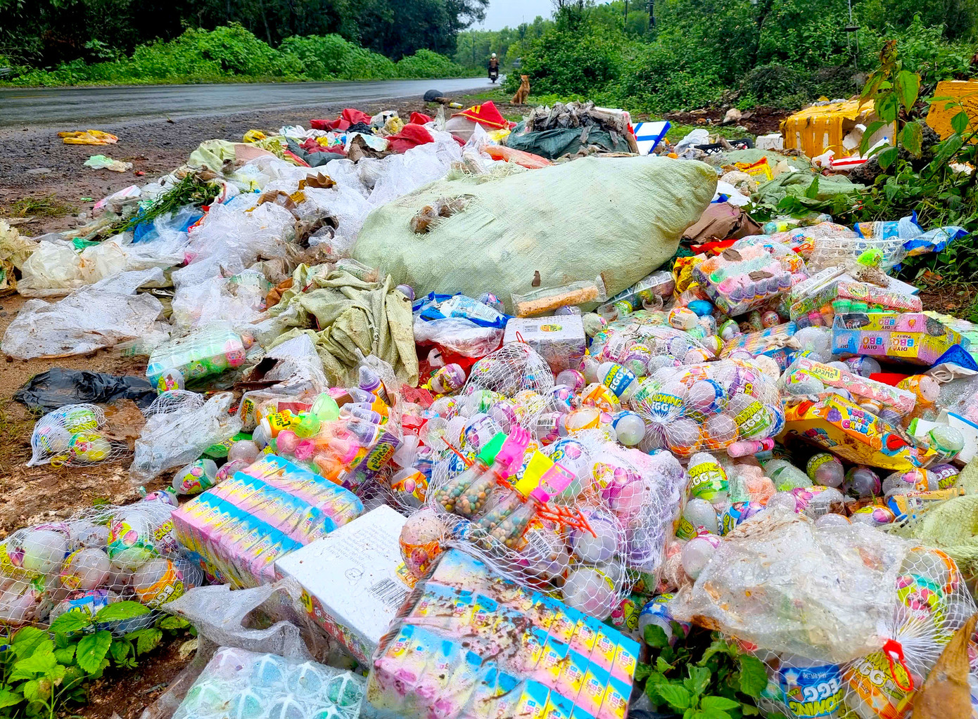 Đồ chơi, bánh, kẹo... bị vứt bỏ thành đống. Đồ chơi, bánh, kẹo... bị vứt bỏ thành đống.