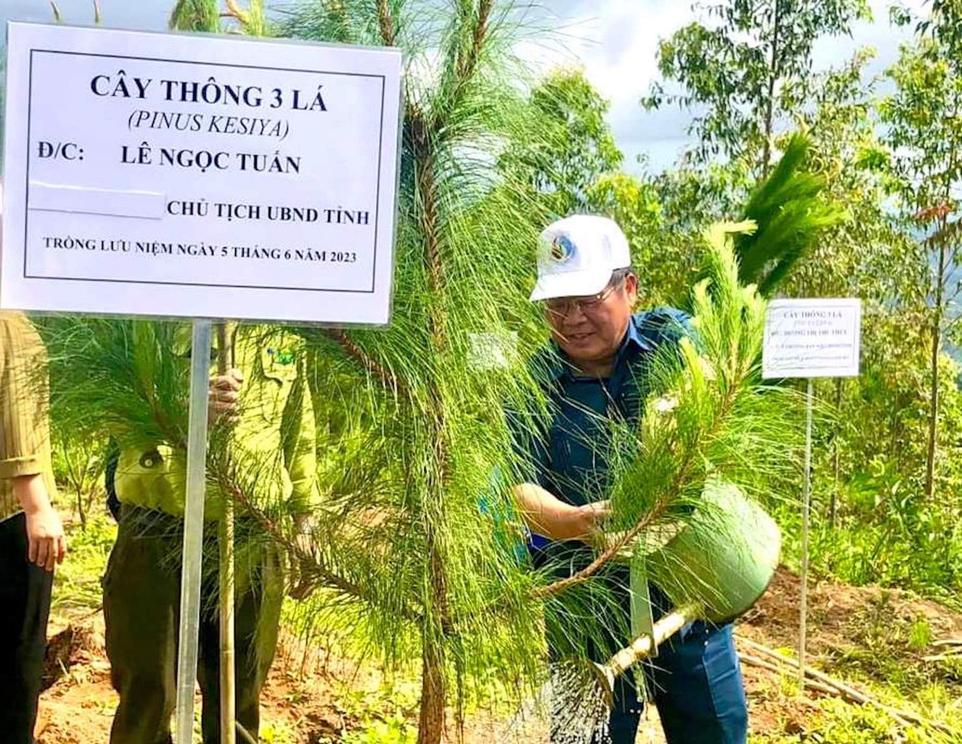 Chủ tịch UBND tỉnh Kon Tum Lê Ngọc Tuấn tưới cây thông 3 lá vừa trồng