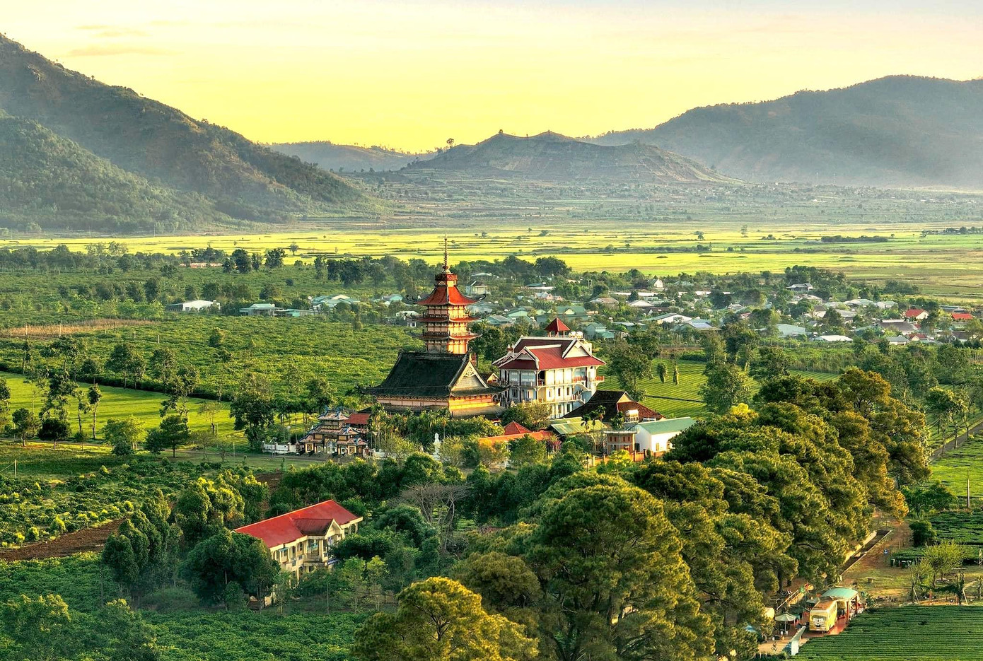 Cách núi lửa Chư Đang Ya chừng vài cây số là hàng thông cổ thụ, đồi chè bạt ngàn và đặc biệt là Chùa Bửu Minh linh thiêng. Ảnh Hoàng Quốc Vĩnh.<