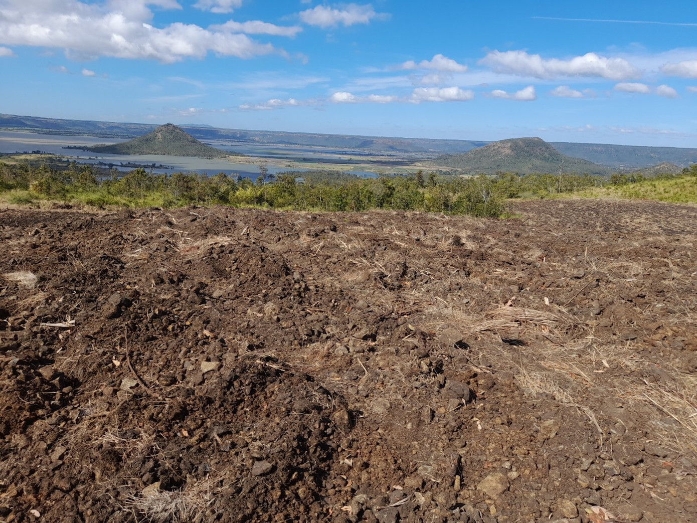 Cả một diện tích rừng phòng hộ bị cày xới Cả một diện tích rừng phòng hộ bị cày xới