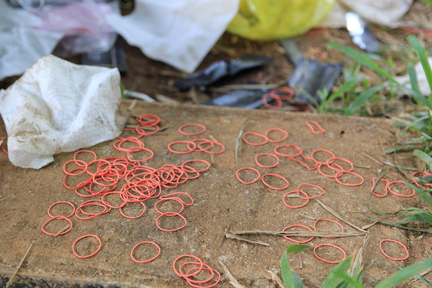 Quanh khu vực này dày đặc vòng chun, nghi để cột tiền