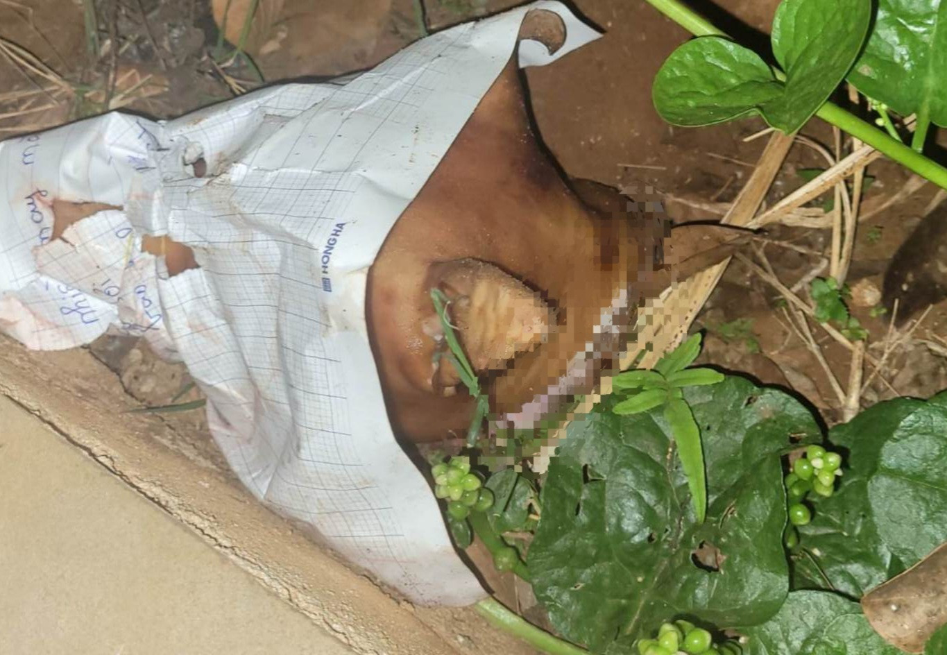 Đầu chó kèm tờ giấy ghi nội dung hăm doạ nhà báo T.V.Y.