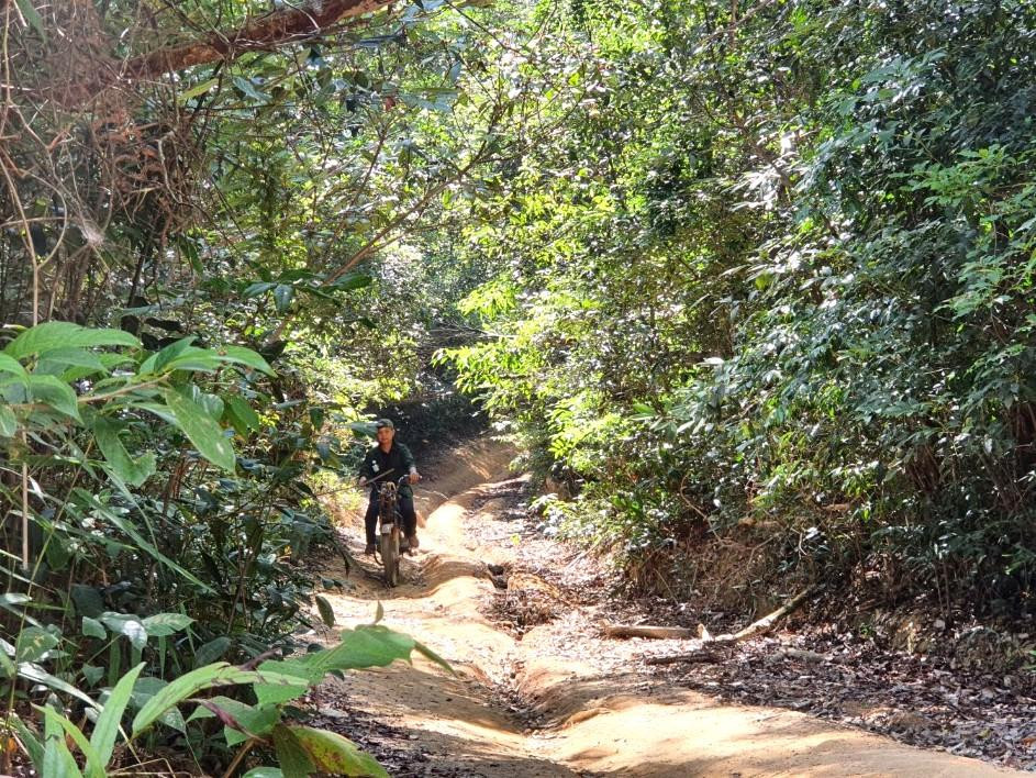 Để tới hiện trường vụ khai thác lâm sản, nhóm phóng viên phải đi khoảng 15km bằng xe máy độ chế