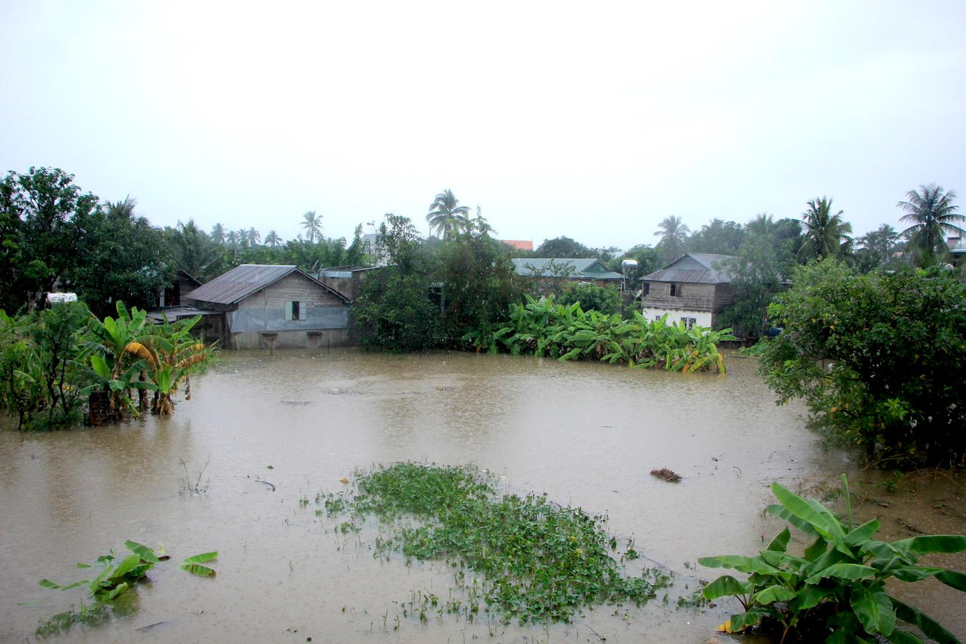 Mưa lớn cũng khiến nhiều nhà dân ở phường Đoàn Kết bị ngập nước, gây thiệt hại cho cây trồng.