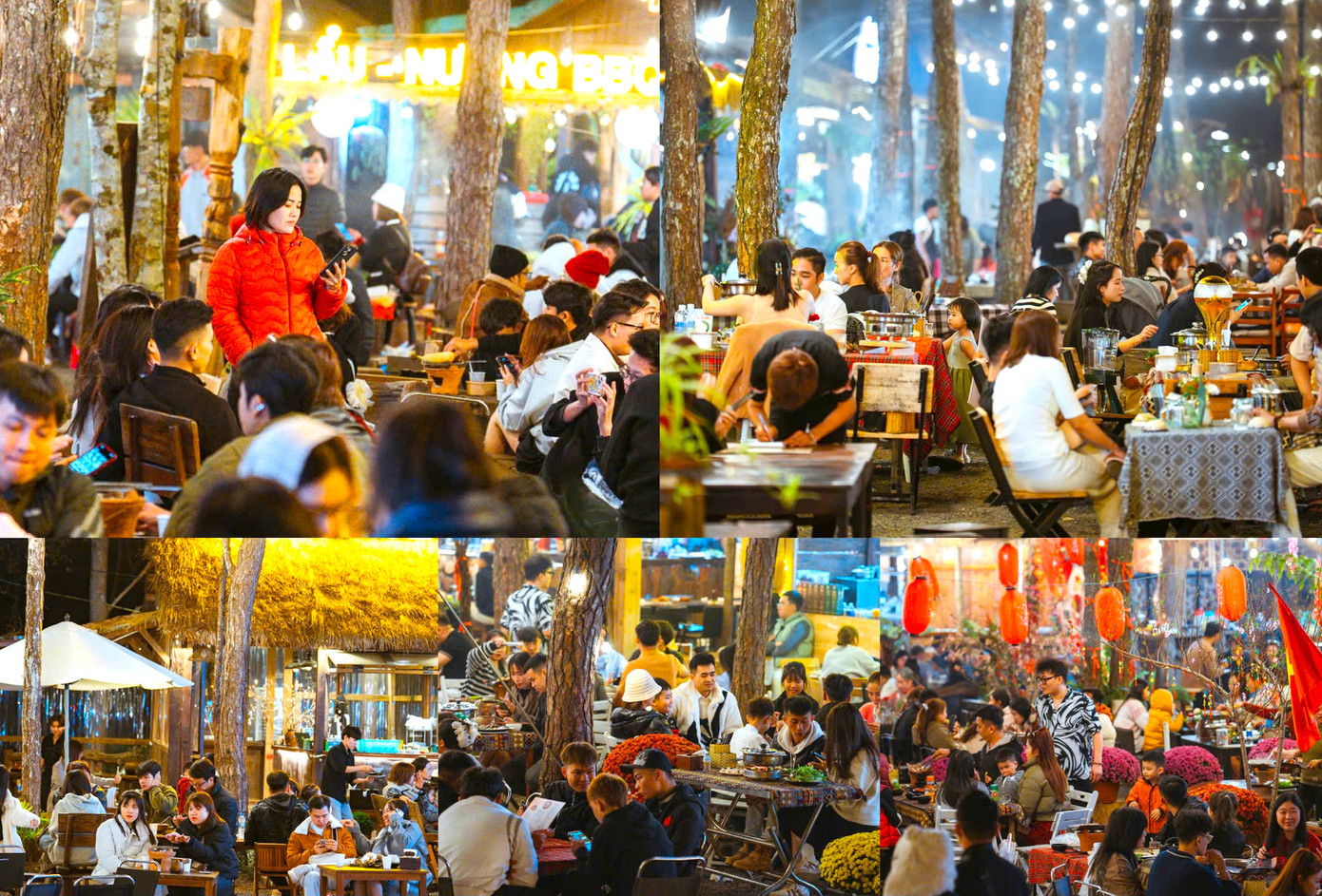 Dưới tán thông mát rượi, các cặp đôi, du khách tận hưởng từng món ăn, khoảnh khắc.