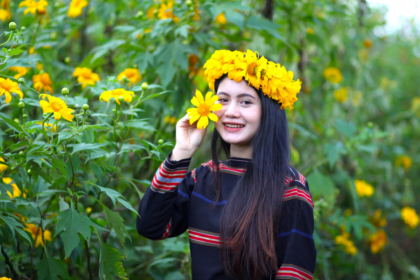 Mang nét đẹp đậm chất Tây Nguyên, cô gái Yie (20 tuổi, trú làng 50, TP.Pleiku) thả dáng với hoa dã quỳ.