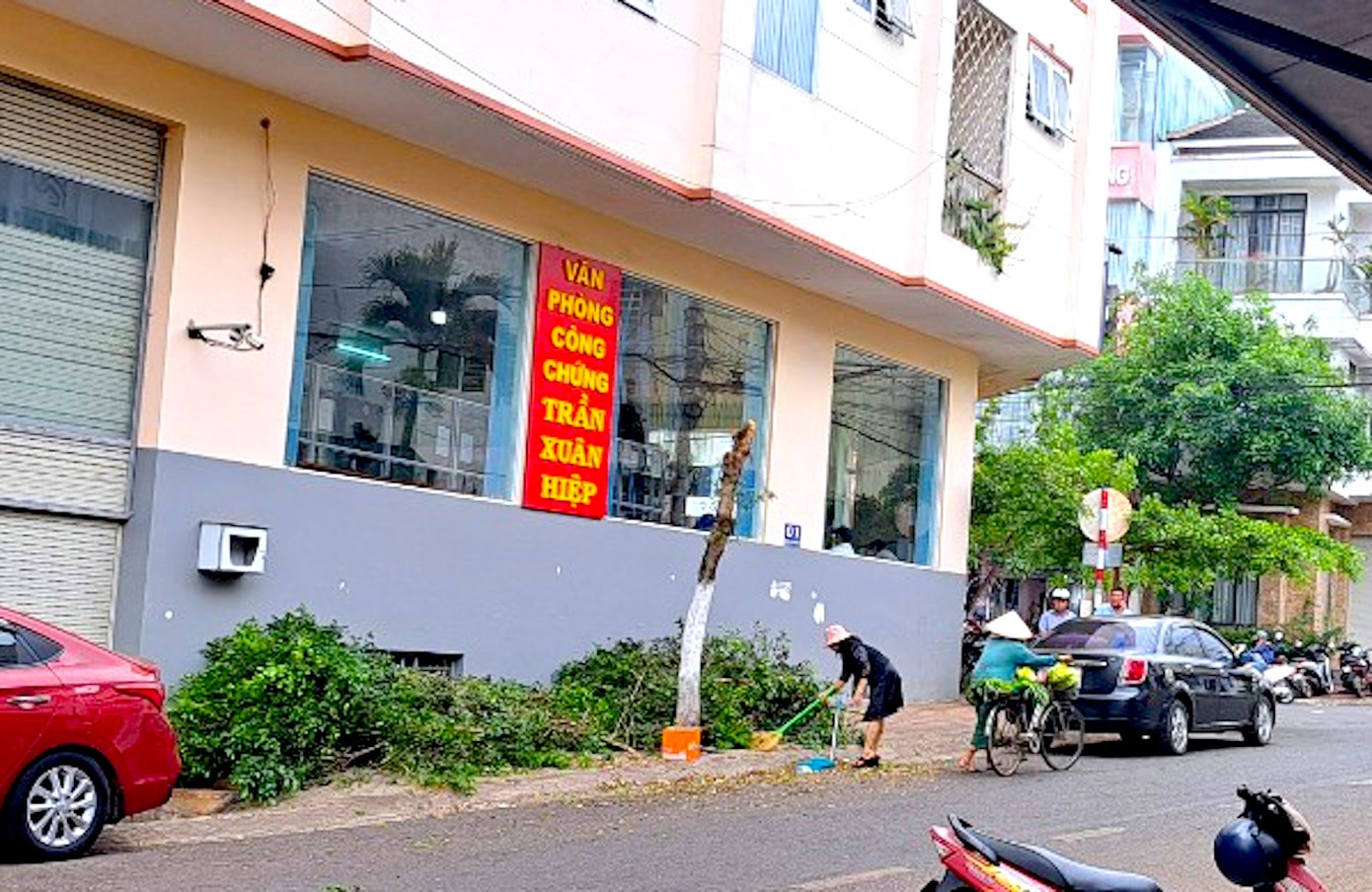 Cây xanh bị ông Trần Xuân Hiệp tự ý cắt ngọn.