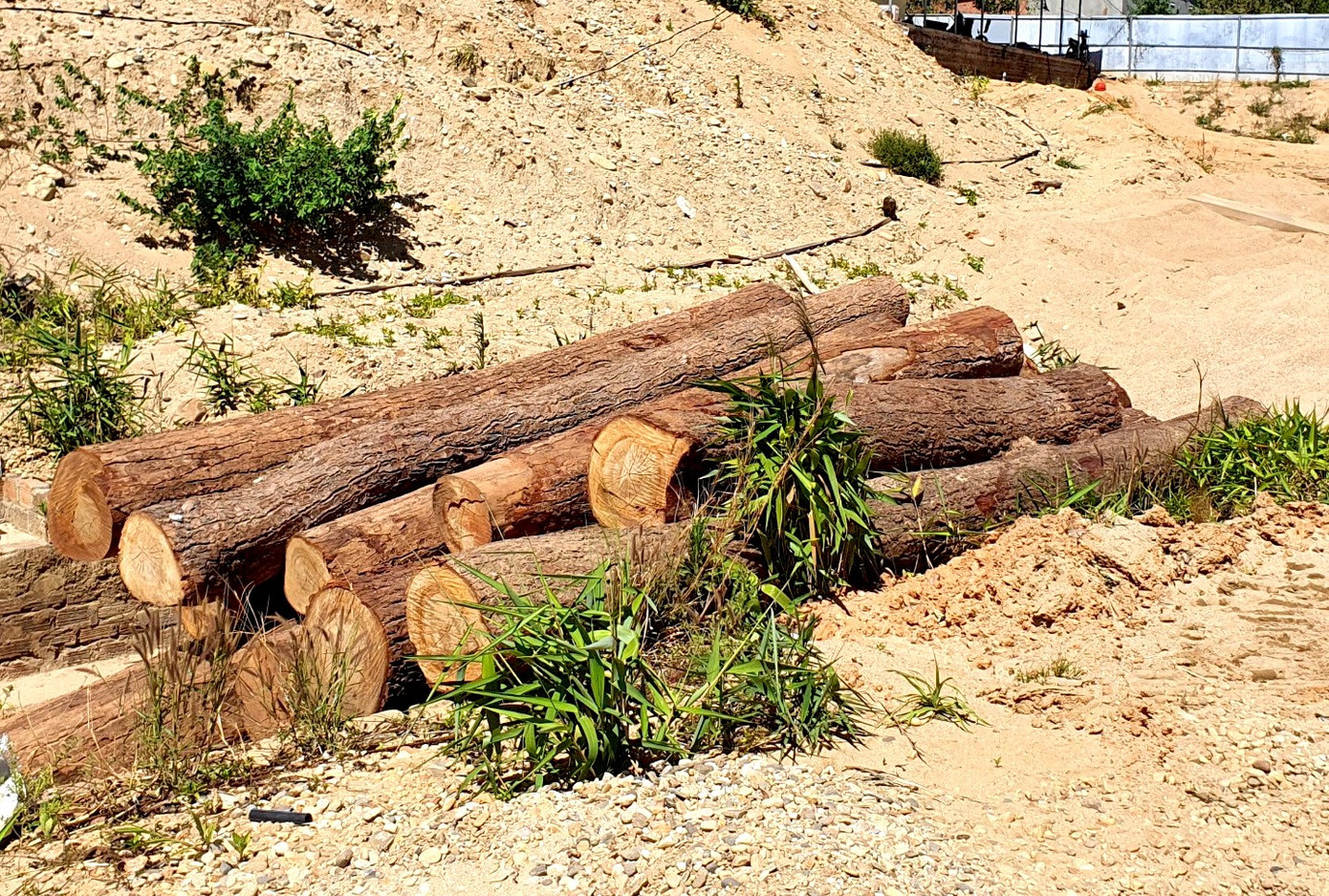 Hàng chục lóng gỗ tròn được cất trong điểm khai thác cát, sỏi 87. Hàng chục lóng gỗ tròn được cất trong điểm khai thác cát, sỏi 87.