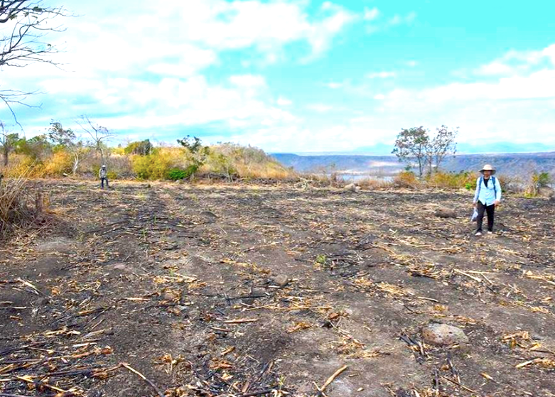 Mặt bằng khai quật di tích. Ảnh: Huỳnh Bá Tính