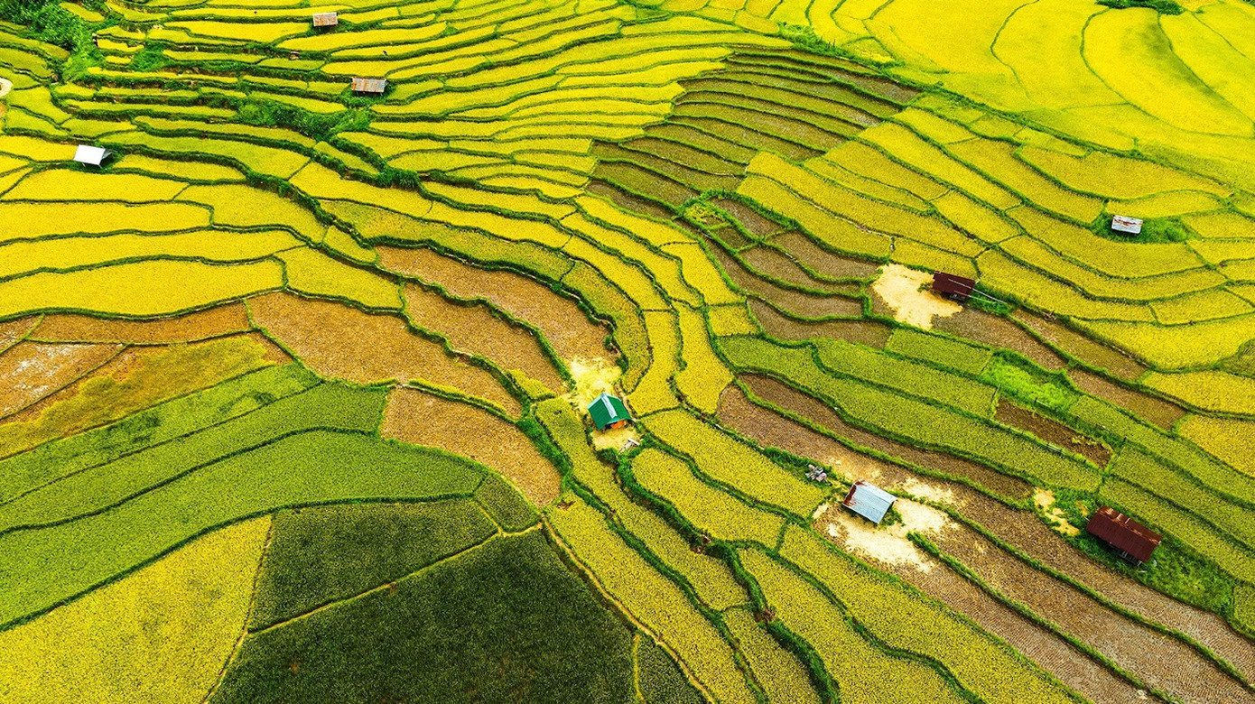 Đồng lúa Kon Tu Rằng. Ảnh: Nguyễn Văn Ban