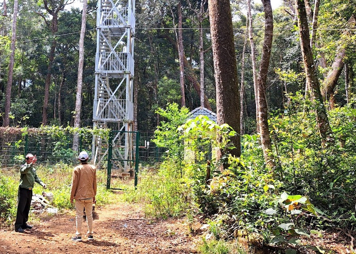 Người dân đi rừng phát hiện thi thể người phụ nữ trong cánh rừng do Khu Bảo tồn thiên nhiên Kon Chư Răng quản lý Người dân đi rừng phát hiện thi thể người phụ nữ trong cánh rừng do Khu Bảo tồn thiên nhiên Kon Chư Răng quản lý