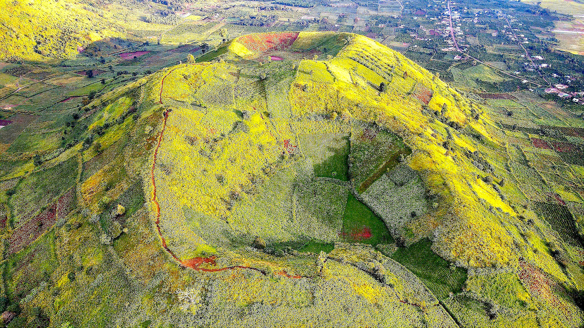 Núi lửa Chư Đang Ya được nhuộm vàng bởi hoa dã quỳ.