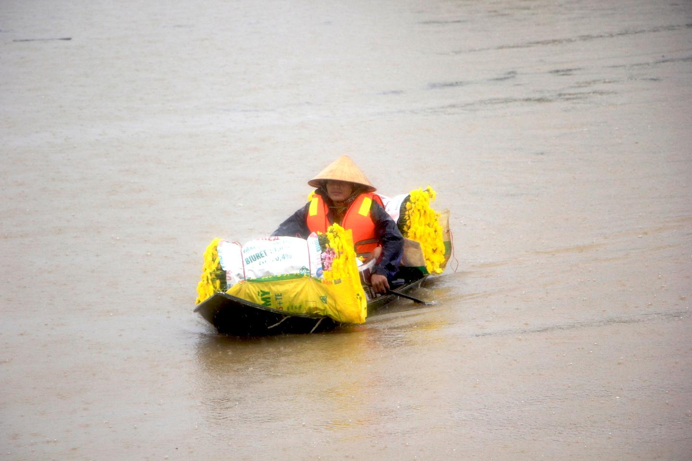 Một số người dân dùng thuyền để đưa số hoa vừa thu hoạch vào bờ.