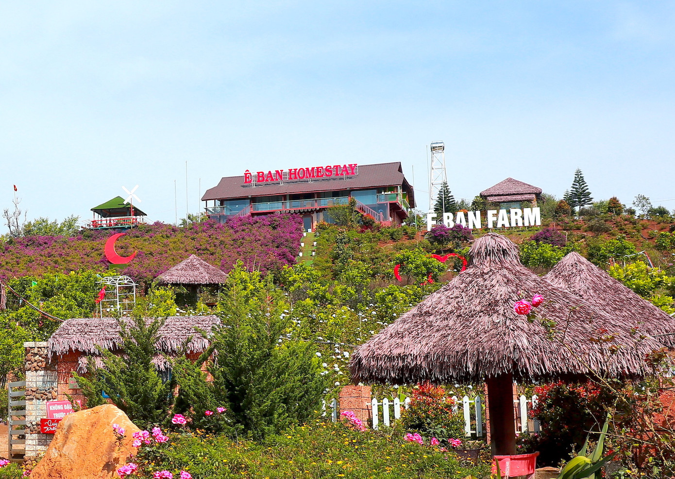 Cũng theo kết luận của Sở TN&amp;MT Kon Tum, Dự án đầu tư trồng rau củ quả và cây ăn quả sạch theo hướng hữu cơ của Cty TNHH Sản xuất - Thương mại và Dịch vụ nông nghiệp Ngọc Thanh Minh (nay là Cty TNHH Ê Ban) có dấu hiệu chuyển nhượng dự án trái quy định.