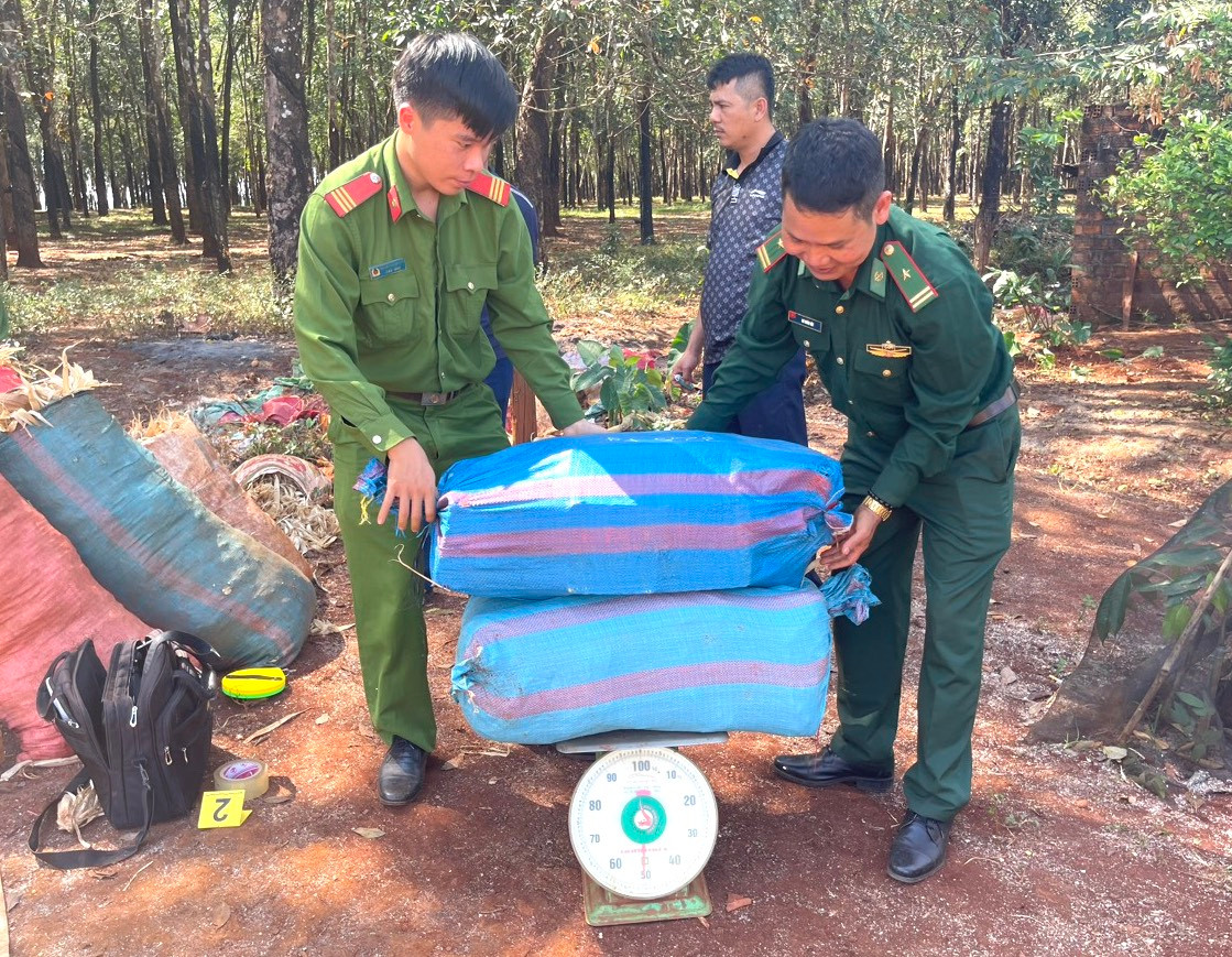 Lực lượng chức năng kiểm đếm số lượng pháo lậu