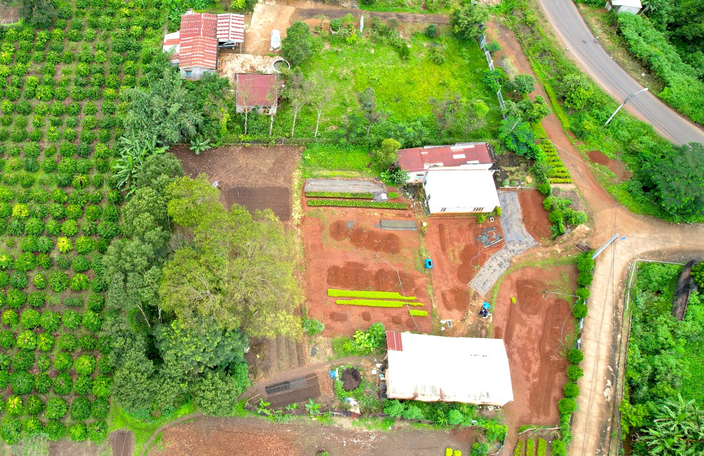 Khu vực đất của ông Nguyễn Đức lấn chiếm phải giao trả